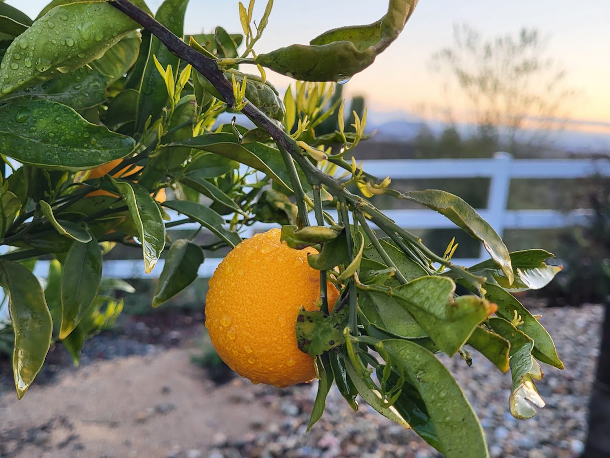 Temecula Valley - Vallée de Temecula