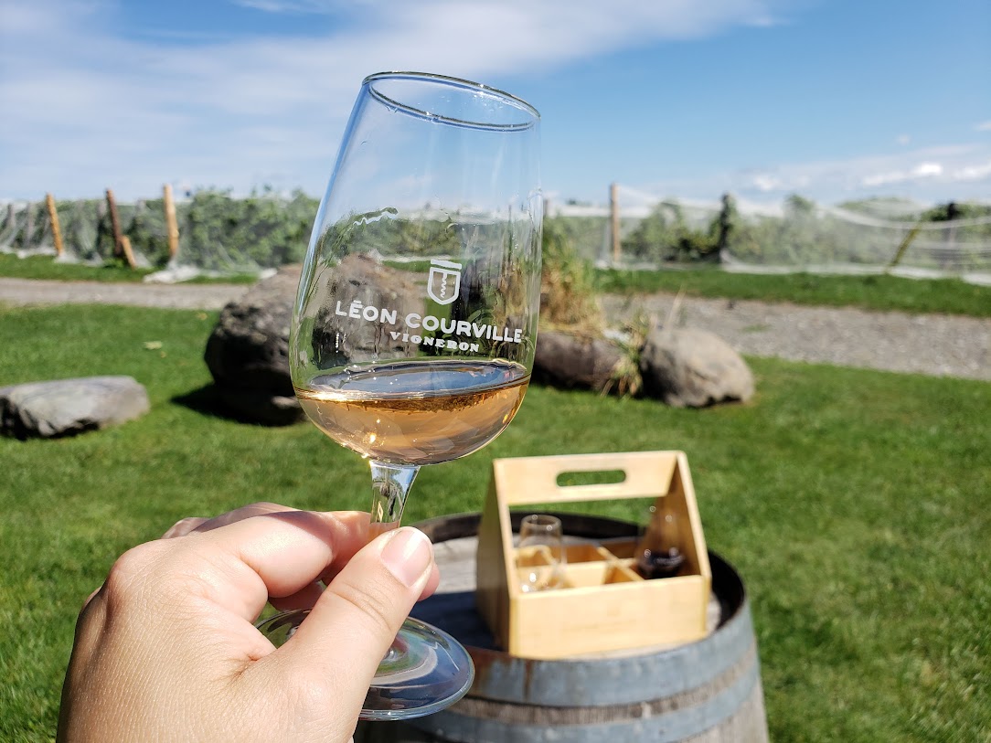 verrerie de vins Le verre INAO 