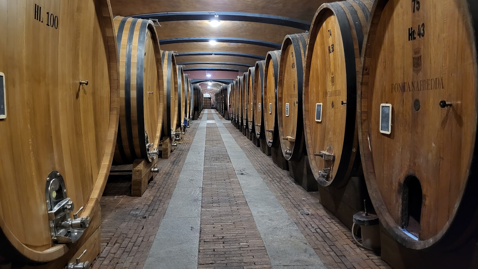 Dans les caves du Barolo