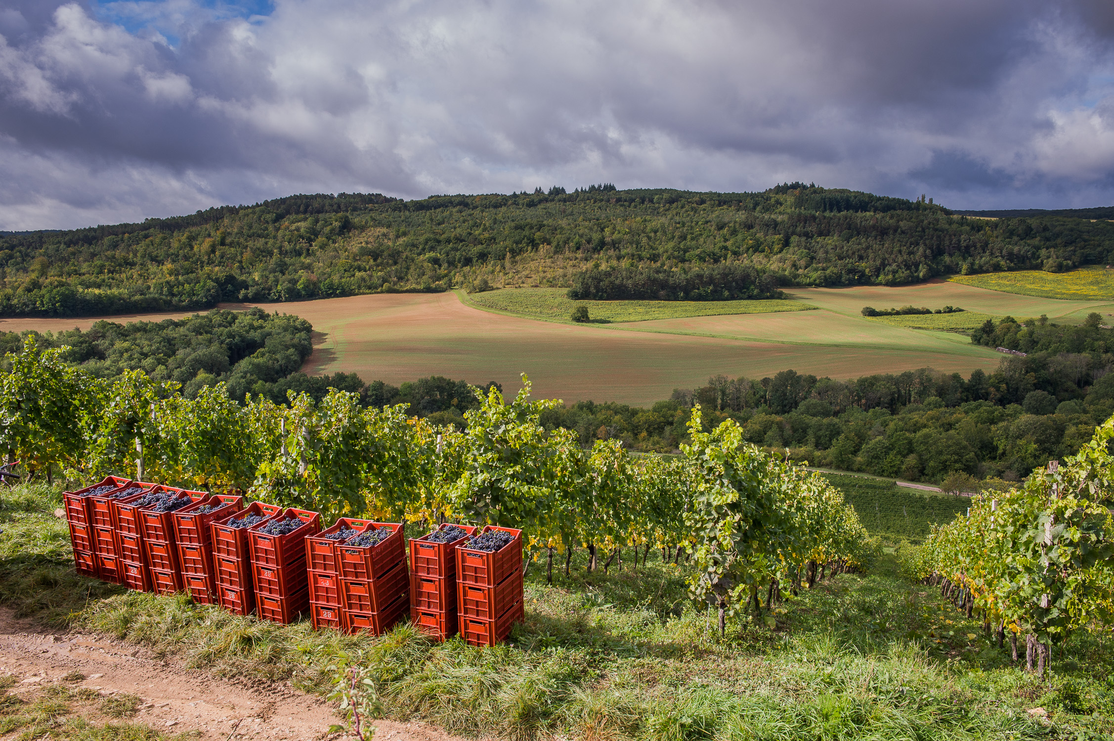 Hautes-Côtes de Beaune et de Nuits