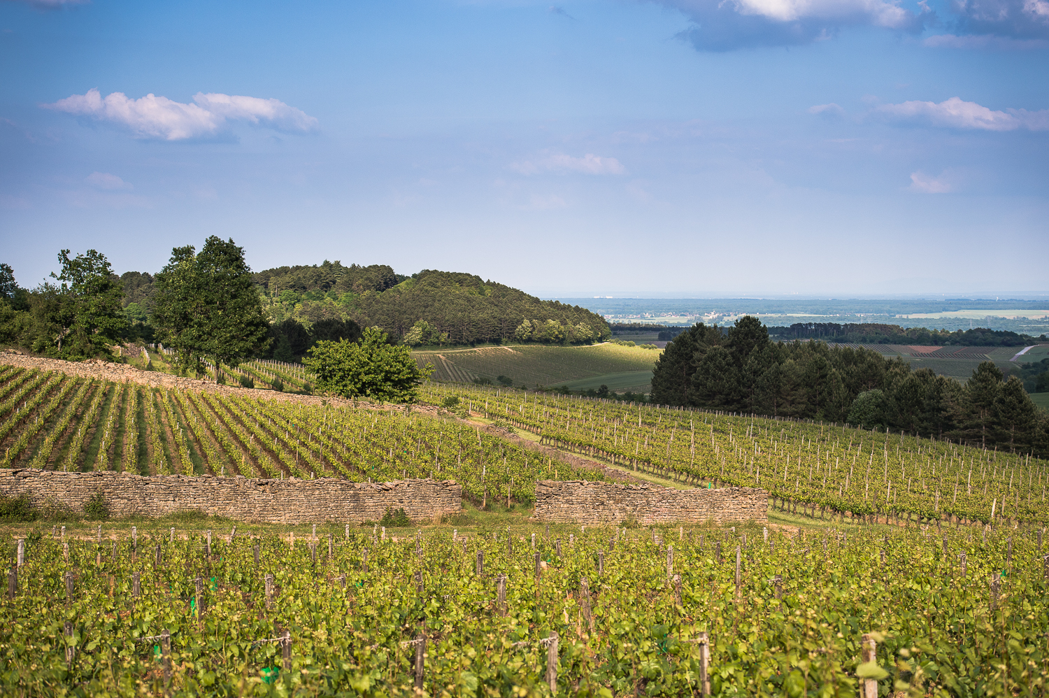 Hautes-Côtes de Beaune et de Nuits