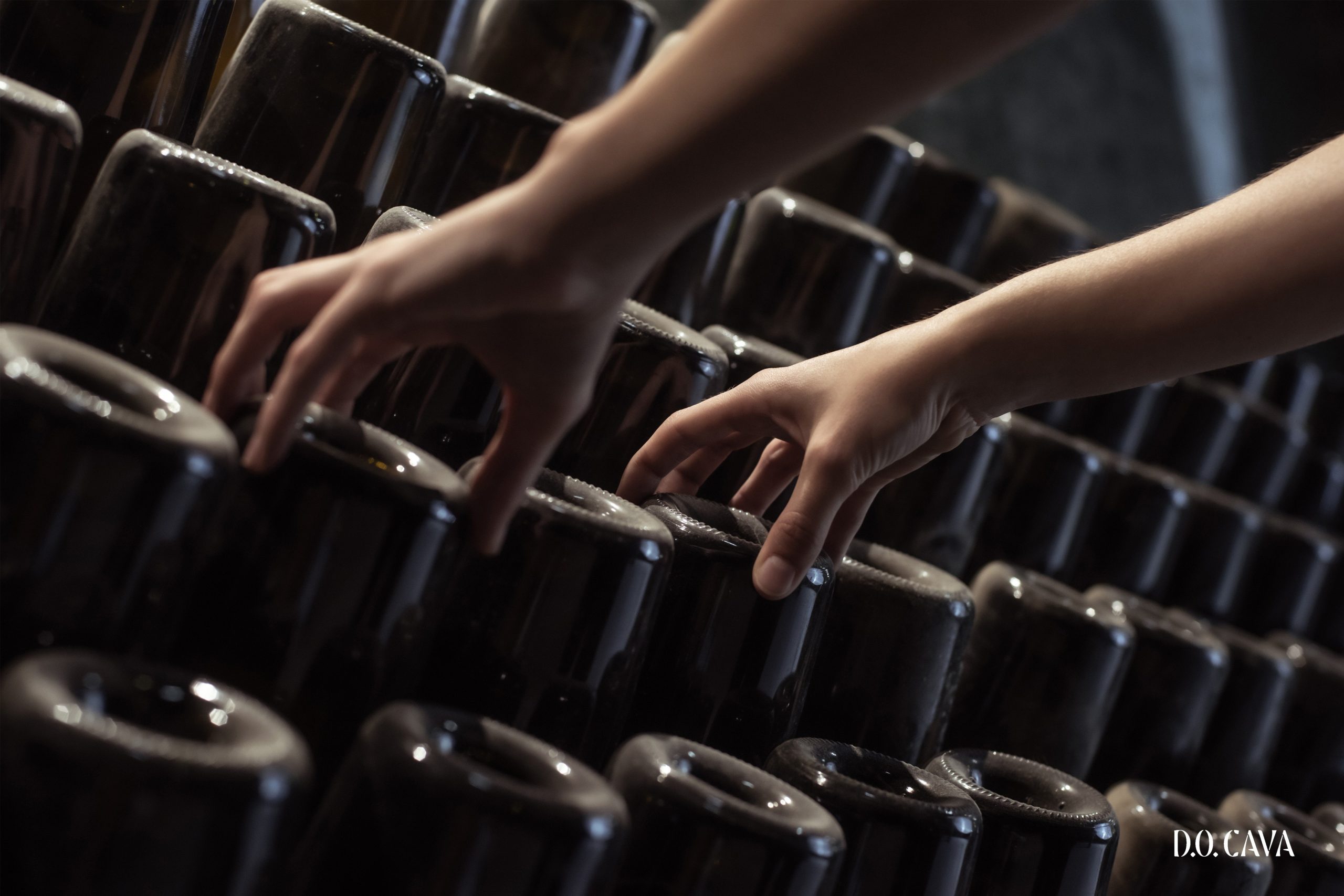 Guide de la DO Cava