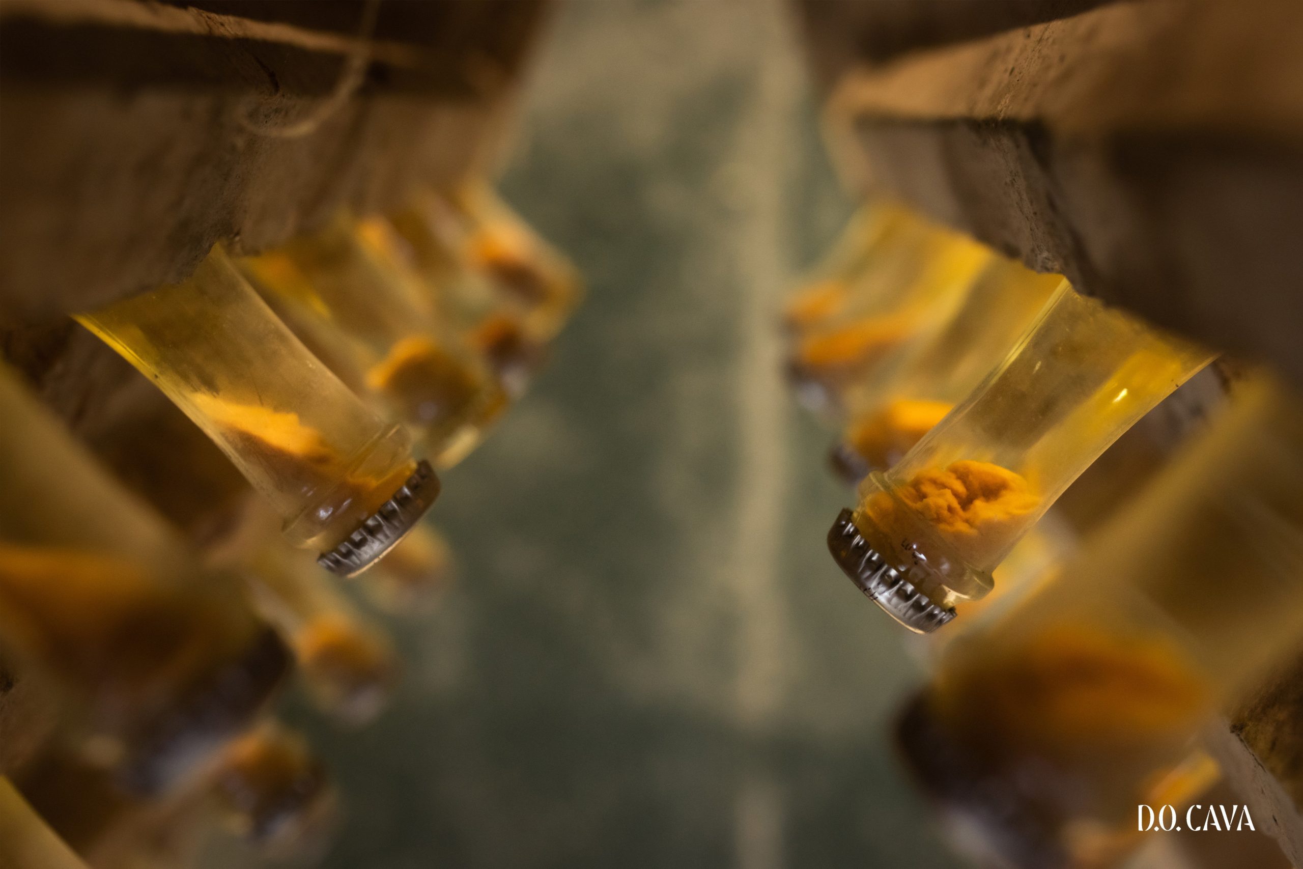 Guide de la DO Cava