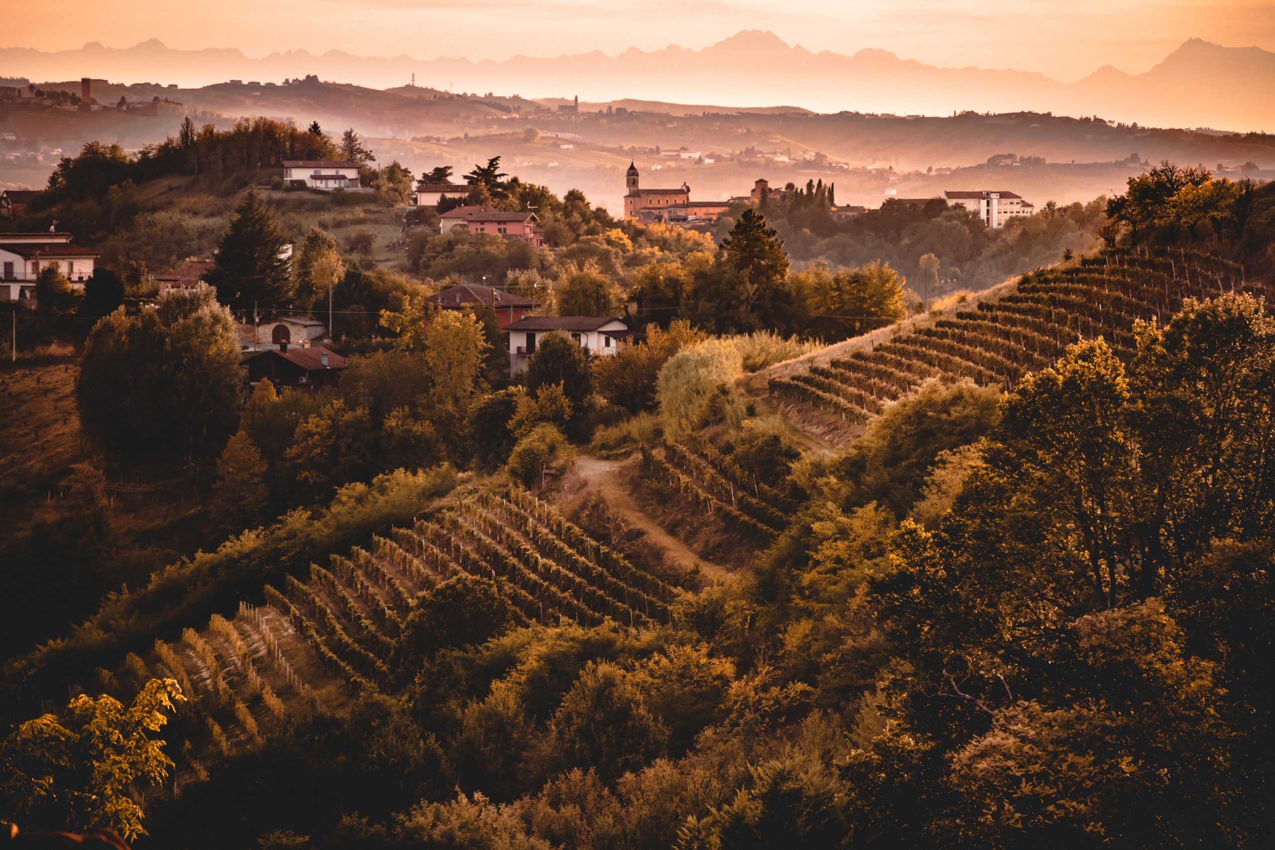 Nizza DOCG nouveau Consorzio